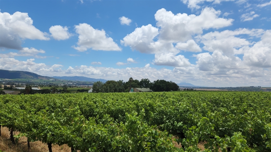 Commercial Property for Sale in Paarl Rural Western Cape